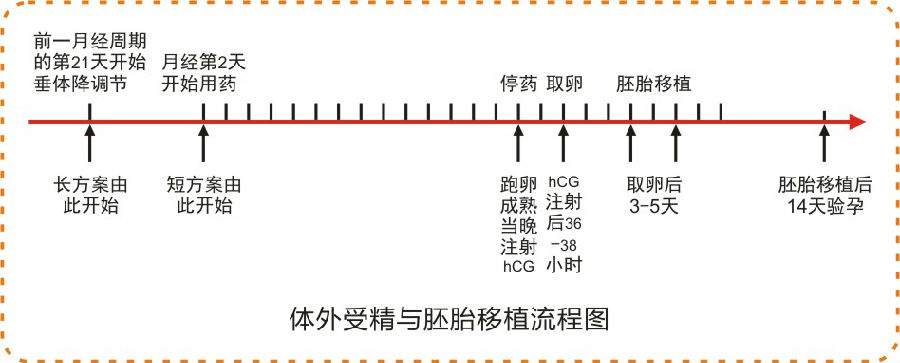 供卵试管婴儿30,000包成功(供卵试管婴儿费用)