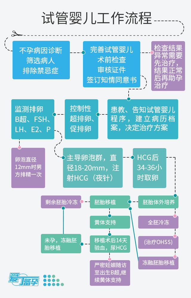 借卵做试管婴儿男女吃什么生男孩-吃什么食物生男孩生女孩