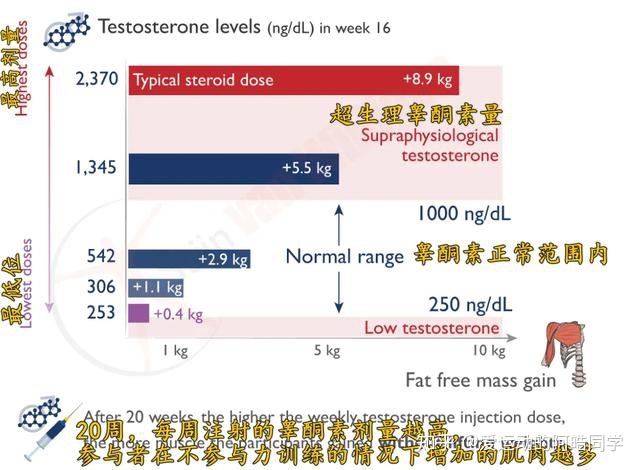 借卵做试管婴儿如何确定男女