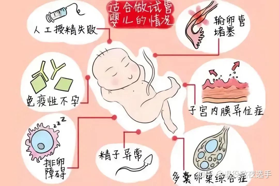 试管婴儿冻胚移植成功率高吗