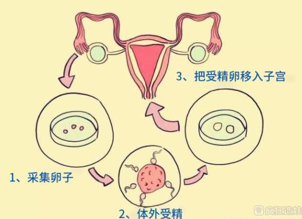 “医生”神圣的是职业,不是人