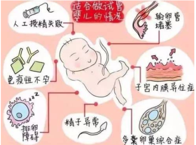 吉林试管代怀包生男孩有吗婴儿医保报销吗（二胎不孕医保可以报销吗）