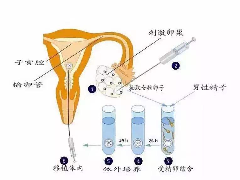 吉林长春三代试管代怀包生男孩医院医院+长春建康医院