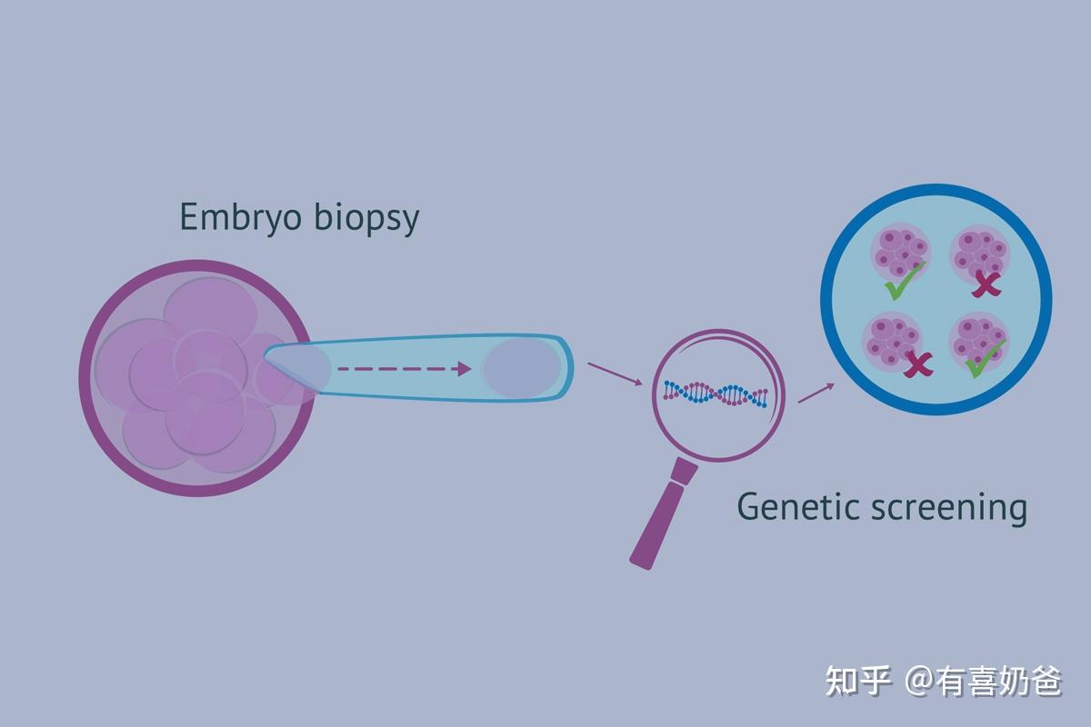 190斤能供卵包男孩多少钱吗（专家解读肥胖供卵机构不用排队婴儿有影响吗以免追悔莫及）