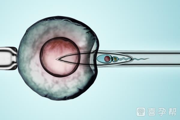 190斤能供卵包男孩多少钱吗（专家解读肥胖供卵机构不用排队婴儿有影响吗以免追悔莫及）